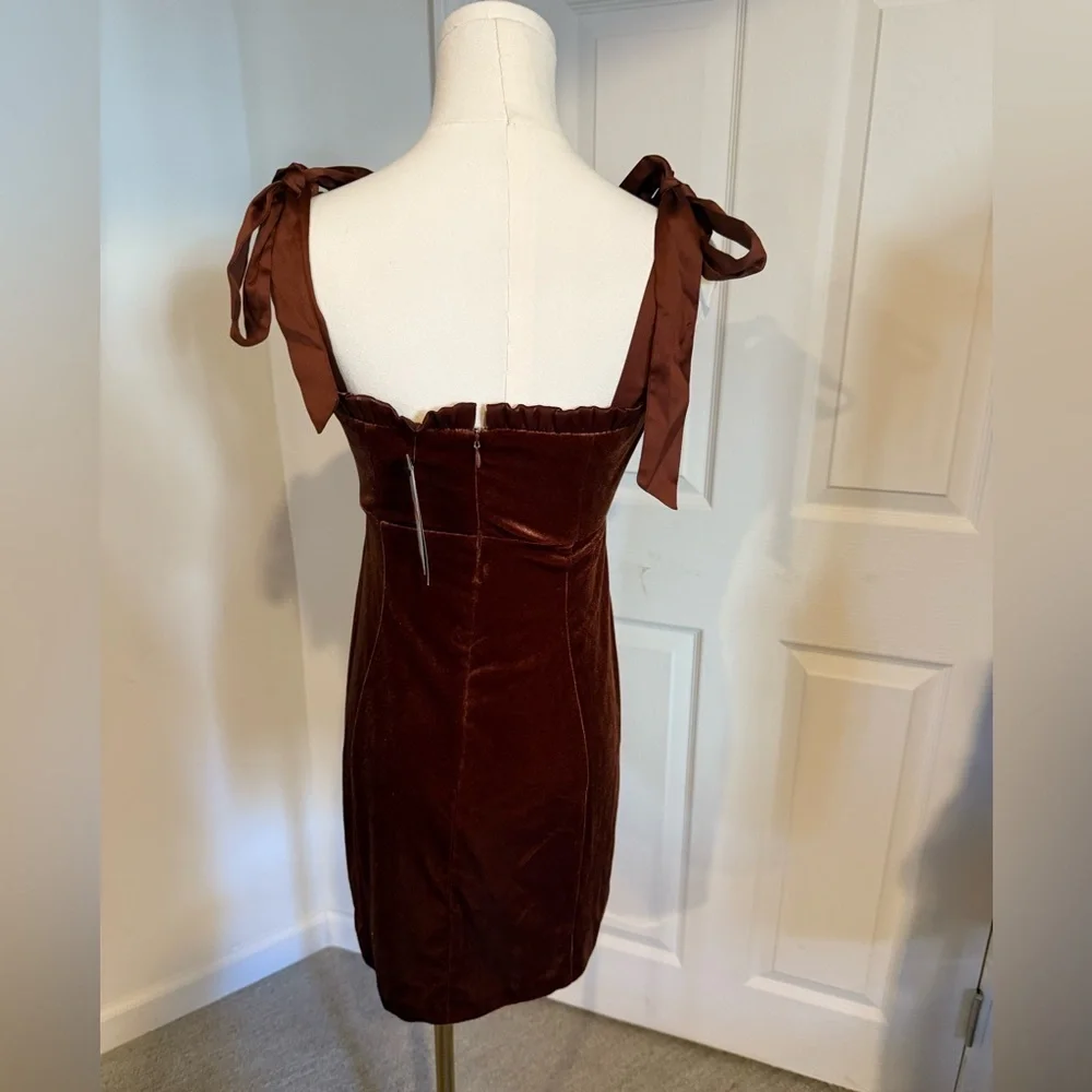 Danielle Bernstein dark burnt orange velvet mini dress - NWT - S - Picture 4 of 15